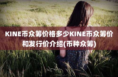 KINE币众筹价格多少KINE币众筹价和发行价介绍(币种众筹)