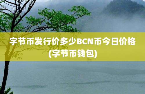 字节币发行价多少BCN币今日价格(字节币钱包)