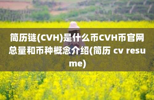 简历链(CVH)是什么币CVH币官网总量和币种概念介绍(简历 cv resume)