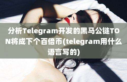 分析Telegram开发的黑马公链TON将成下个百倍币(telegram用什么语言写的)