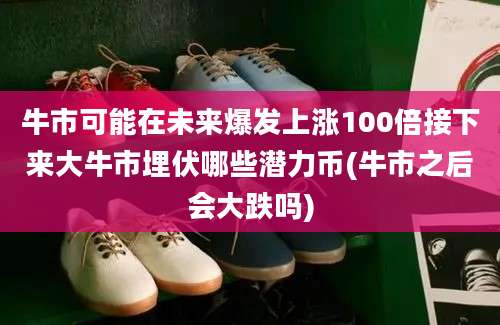 牛市可能在未来爆发上涨100倍接下来大牛市埋伏哪些潜力币(牛市之后会大跌吗)