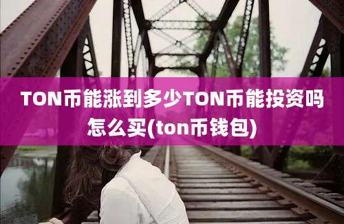 TON币能涨到多少TON币能投资吗怎么买(ton币钱包)