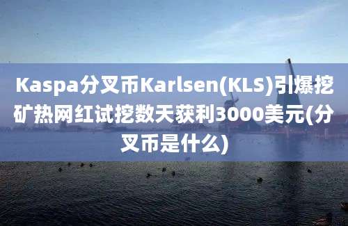 Kaspa分叉币Karlsen(KLS)引爆挖矿热网红试挖数天获利3000美元(分叉币是什么)