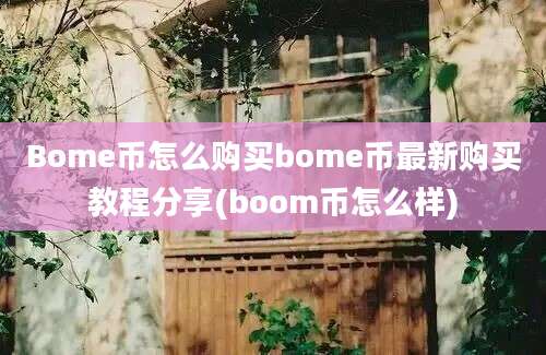 Bome币怎么购买bome币最新购买教程分享(boom币怎么样)