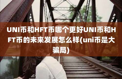 UNI币和HFT币哪个更好UNI币和HFT币的未来发展怎么样(uni币是大骗局)