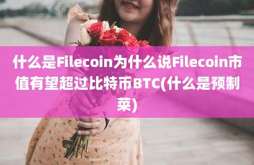 什么是Filecoin为什么说Filecoin市值有望超过比特币BTC(什么是预制菜)