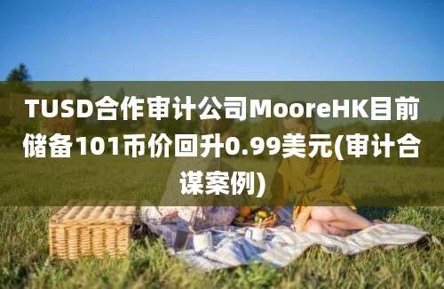 TUSD合作审计公司MooreHK目前储备101币价回升0.99美元(审计合谋案例)