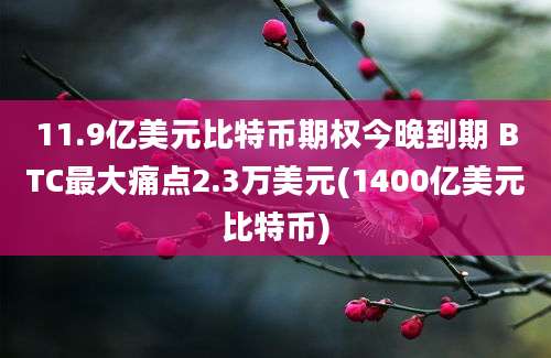 11.9亿美元比特币期权今晚到期 BTC最大痛点2.3万美元(1400亿美元比特币)