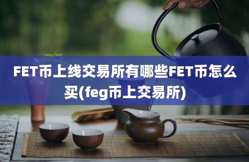 FET币上线交易所有哪些FET币怎么买(feg币上交易所)