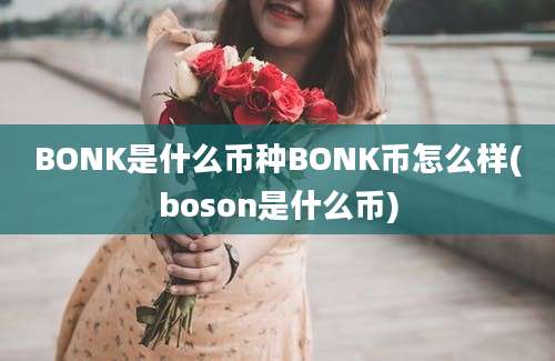 BONK是什么币种BONK币怎么样(boson是什么币)