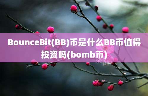 BounceBit(BB)币是什么BB币值得投资吗(bomb币)