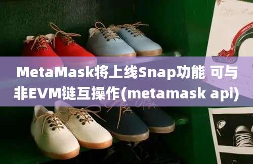 MetaMask将上线Snap功能 可与非EVM链互操作(metamask api)