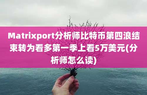 Matrixport分析师比特币第四浪结束转为看多第一季上看5万美元(分析师怎么读)