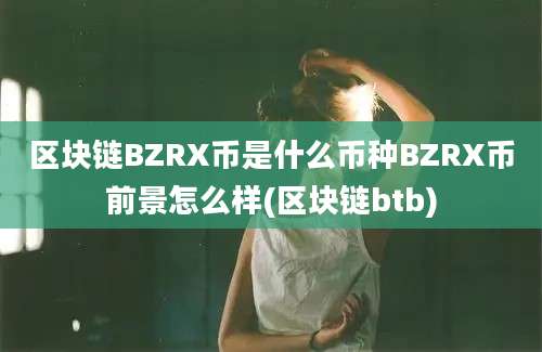 区块链BZRX币是什么币种BZRX币前景怎么样(区块链btb)