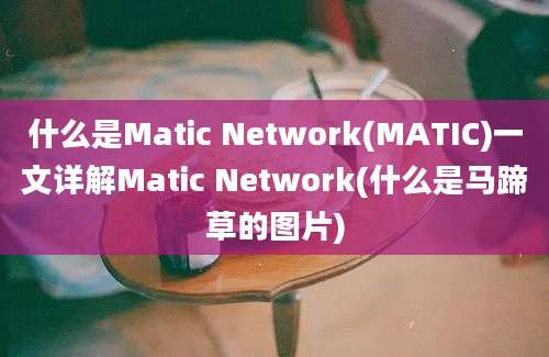 什么是Matic Network(MATIC)一文详解Matic Network(什么是马蹄草的图片)