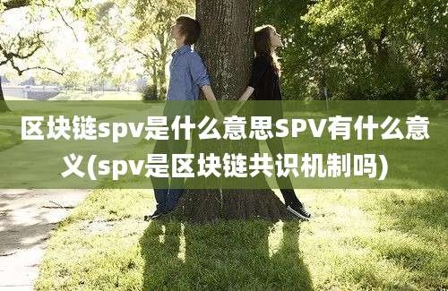 区块链spv是什么意思SPV有什么意义(spv是区块链共识机制吗)