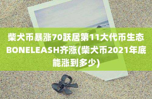 柴犬币暴涨70跃居第11大代币生态BONELEASH齐涨(柴犬币2021年底能涨到多少)