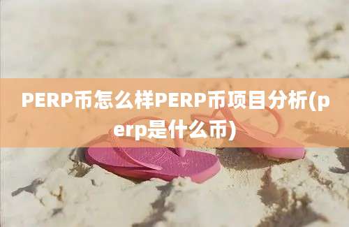 PERP币怎么样PERP币项目分析(perp是什么币)