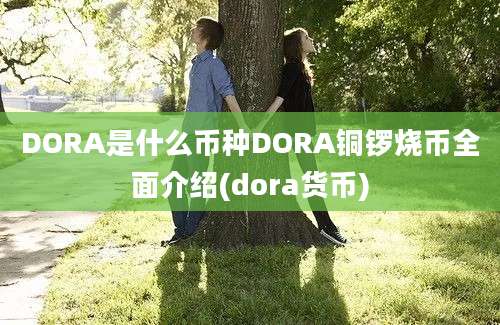 DORA是什么币种DORA铜锣烧币全面介绍(dora货币)