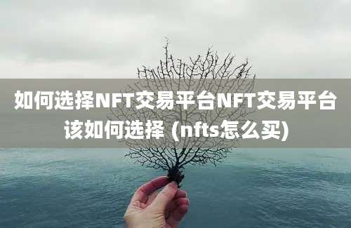 如何选择NFT交易平台NFT交易平台该如何选择 (nfts怎么买)