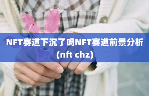 NFT赛道下沉了吗NFT赛道前景分析(nft chz)