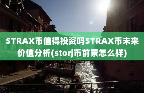 STRAX币值得投资吗STRAX币未来价值分析(storj币前景怎么样)