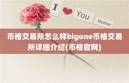 币格交易所怎么样bigone币格交易所详细介绍(币格官网)