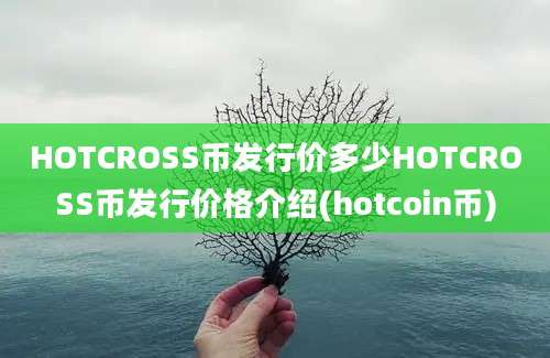 HOTCROSS币发行价多少HOTCROSS币发行价格介绍(hotcoin币)