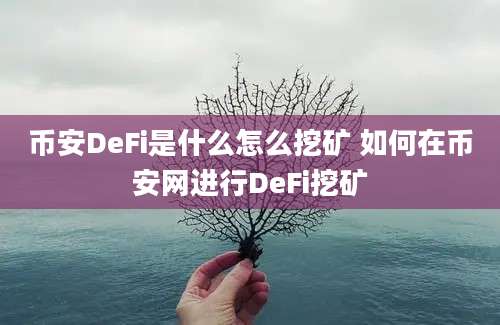 币安DeFi是什么怎么挖矿 如何在币安网进行DeFi挖矿