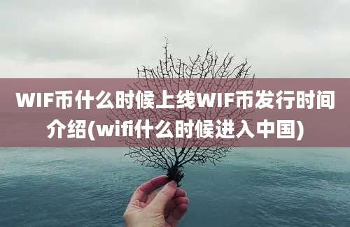 WIF币什么时候上线WIF币发行时间介绍(wifi什么时候进入中国)