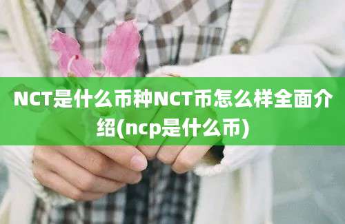 NCT是什么币种NCT币怎么样全面介绍(ncp是什么币)