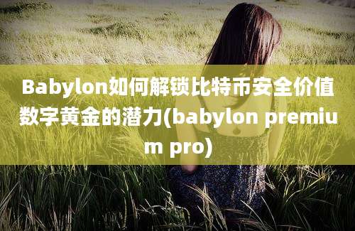 Babylon如何解锁比特币安全价值数字黄金的潜力(babylon premium pro)