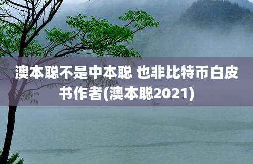 澳本聪不是中本聪 也非比特币白皮书作者(澳本聪2021)