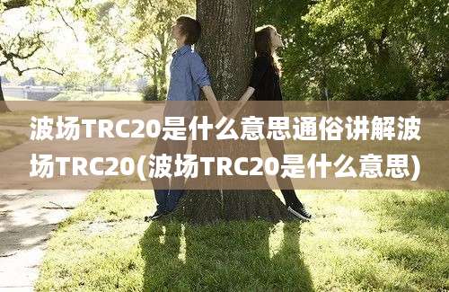 波场TRC20是什么意思通俗讲解波场TRC20(波场TRC20是什么意思)