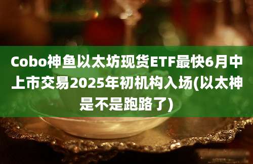 Cobo神鱼以太坊现货ETF最快6月中上市交易2025年初机构入场(以太神是不是跑路了)