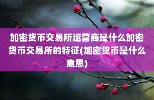 加密货币交易所运营商是什么加密货币交易所的特征(加密货币是什么意思)