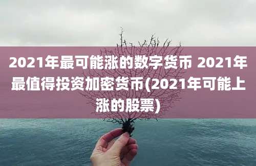 2021年最可能涨的数字货币 2021年最值得投资加密货币(2021年可能上涨的股票)