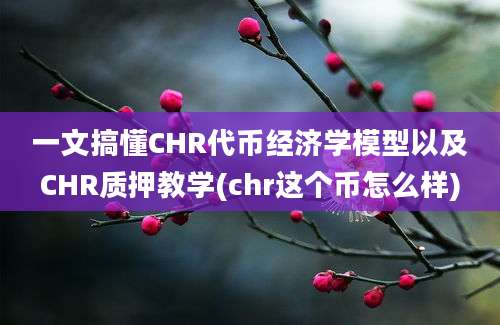 一文搞懂CHR代币经济学模型以及CHR质押教学(chr这个币怎么样)