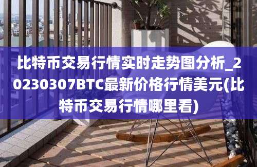 比特币交易行情实时走势图分析_20230307BTC最新价格行情美元(比特币交易行情哪里看)