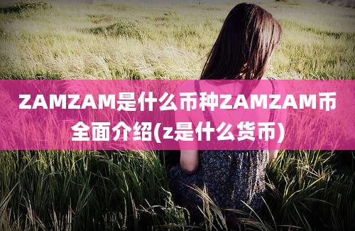 ZAMZAM是什么币种ZAMZAM币全面介绍(z是什么货币)