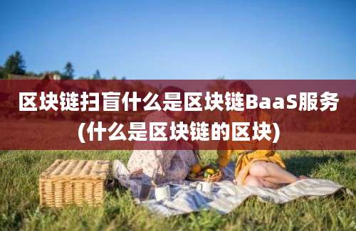 区块链扫盲什么是区块链BaaS服务(什么是区块链的区块)