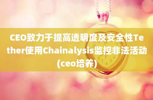 CEO致力于提高透明度及安全性Tether使用Chainalysis监控非法活动(ceo培养)