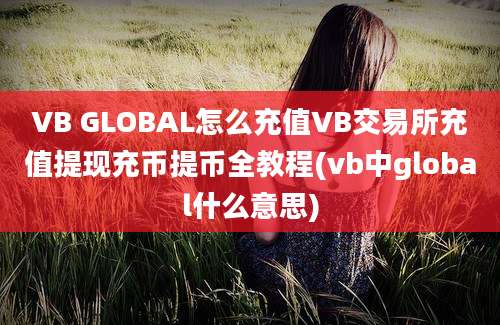 VB GLOBAL怎么充值VB交易所充值提现充币提币全教程(vb中global什么意思)