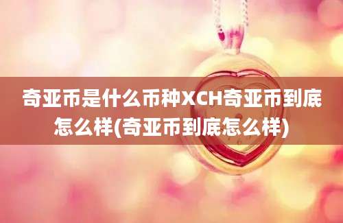 奇亚币是什么币种XCH奇亚币到底怎么样(奇亚币到底怎么样)