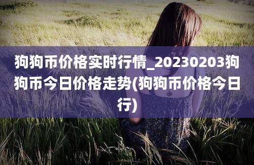 狗狗币价格实时行情_20230203狗狗币今日价格走势(狗狗币价格今日行)