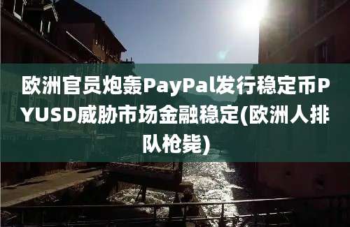 欧洲官员炮轰PayPal发行稳定币PYUSD威胁市场金融稳定(欧洲人排队枪毙)