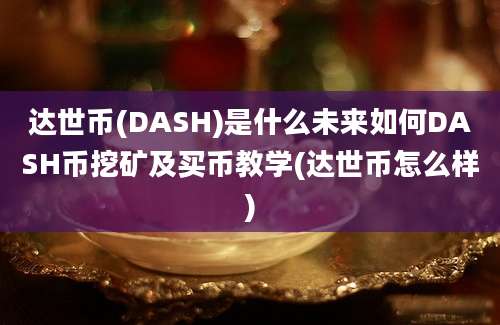 达世币(DASH)是什么未来如何DASH币挖矿及买币教学(达世币怎么样)