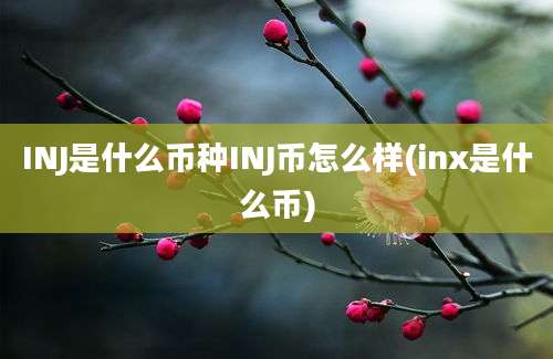 INJ是什么币种INJ币怎么样(inx是什么币)