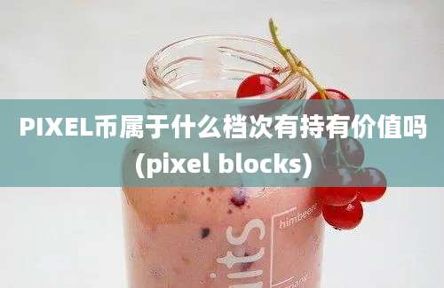 PIXEL币属于什么档次有持有价值吗(pixel blocks)