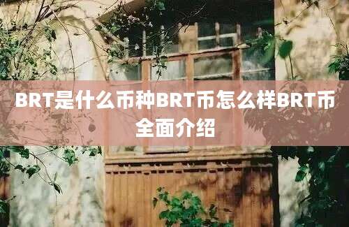 BRT是什么币种BRT币怎么样BRT币全面介绍